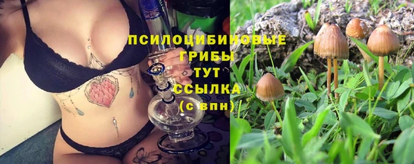 марки lsd Заволжск