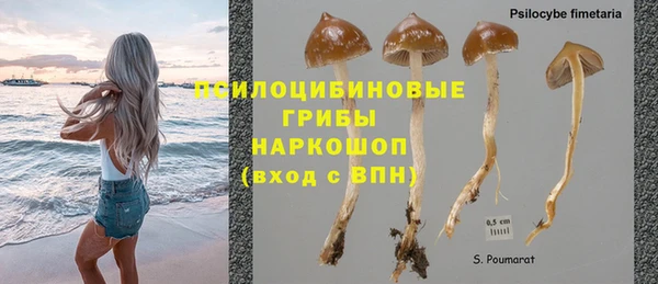 мяу мяу мука Ельня