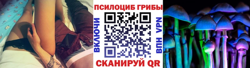 Галлюциногенные грибы мицелий  Ипатово 